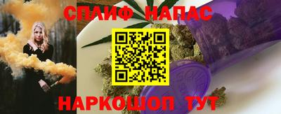 крисы Бийск