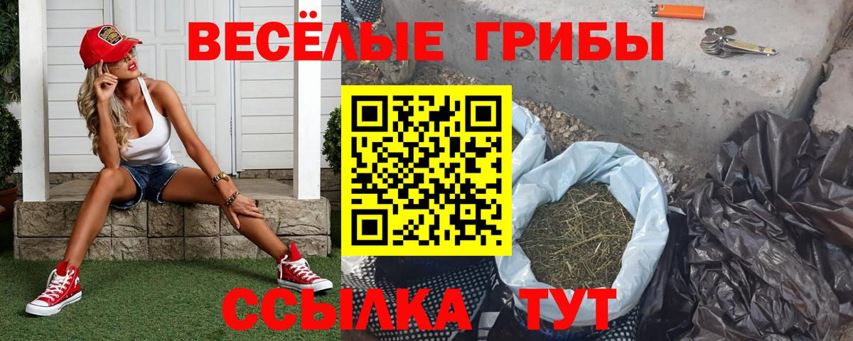 Галлюциногенные грибы MAGIC MUSHROOMS  Вход с VPN  Киров  Псилоцибиновые грибы Psilocybe 